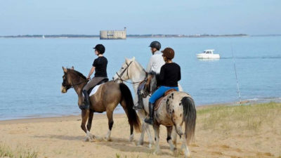 La Charente-Maritime vous promet de belles surprises