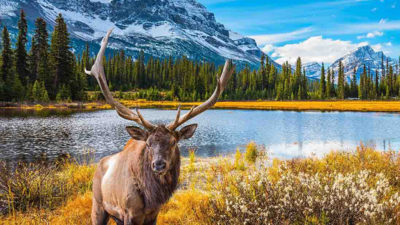 Les meilleurs endroits à découvrir au Canada